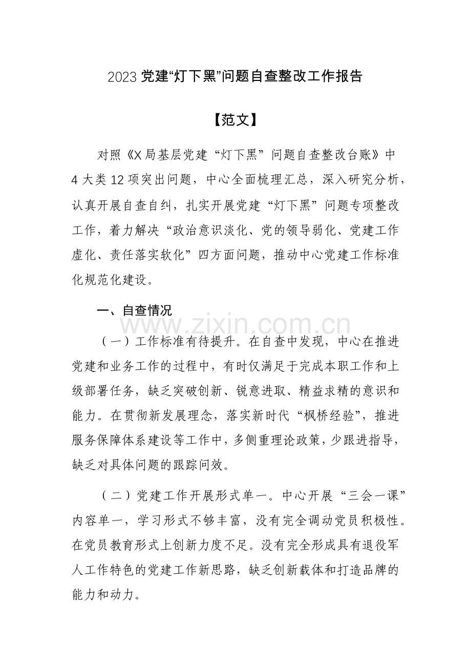 2023党建“灯下黑”问题自查整改工作报告【范文】.docx_第1页