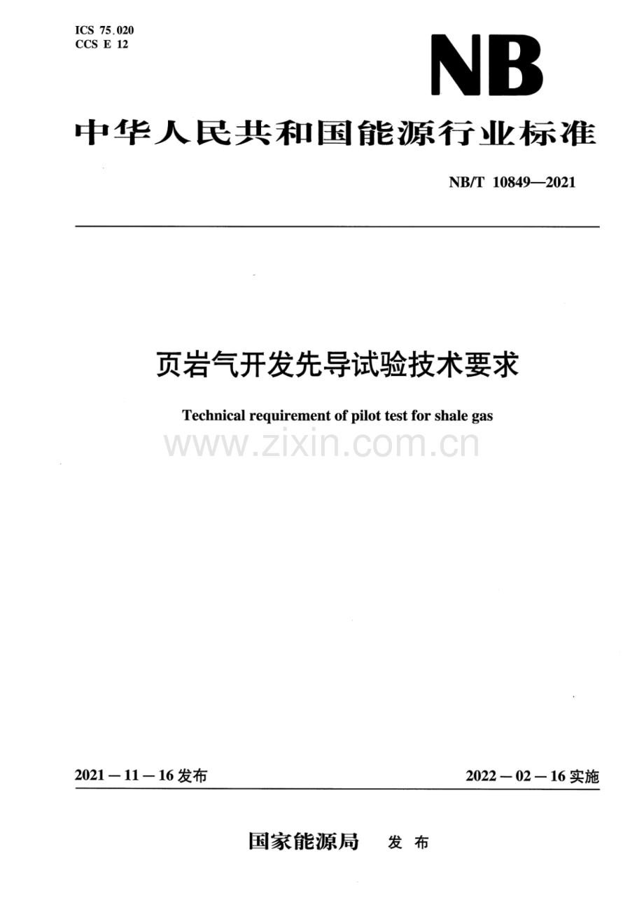 NB∕T 10849-2021 页岩气开发先导试验技术要求.pdf_第1页