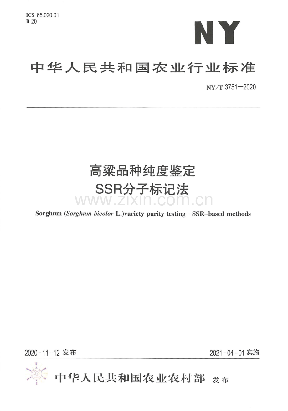 NY∕T 3751-2020 高粱品种纯度鉴定 SSR分子标记法.pdf_第1页