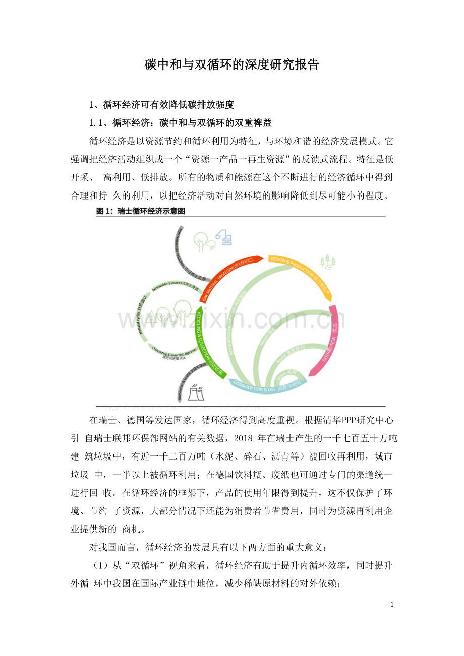 碳中和与双循环的深度研究报告.doc_第1页