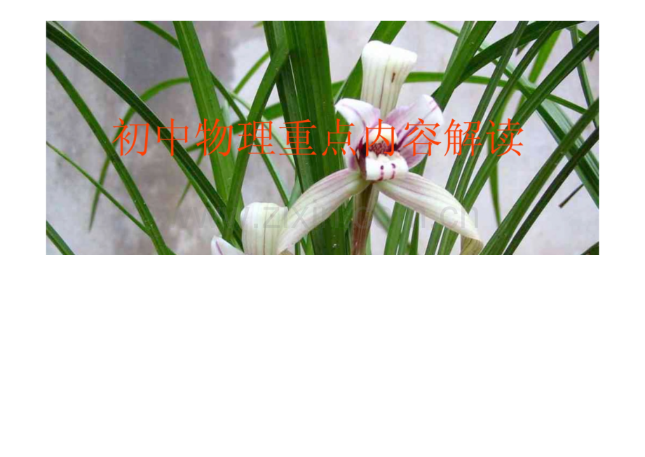 初中物理重点内容解读_课件.pdf_第1页