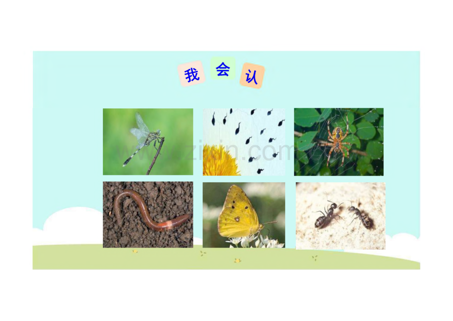《动物儿歌》完整教学_课件(6篇).pdf_第2页