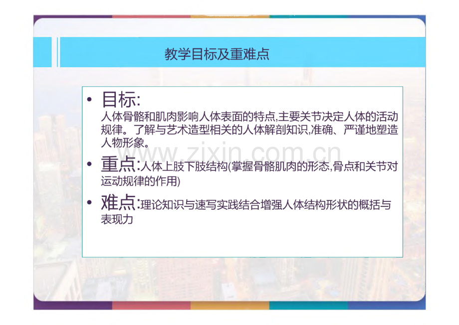 四肢结构认识.pdf_第2页