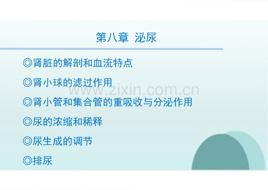 生理学教学课件08泌尿.pdf_第2页