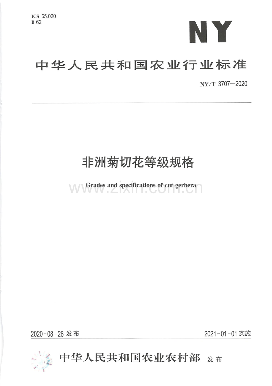 NY∕T 3707-2020 非洲菊切花等级规格.pdf_第1页