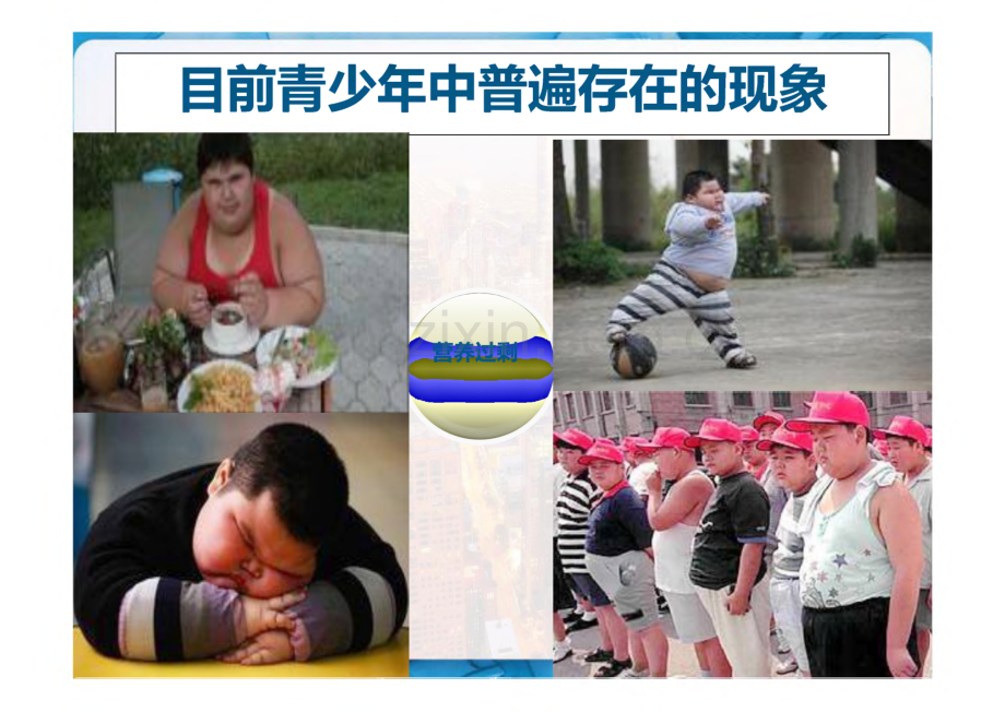 学校合理膳食培训.pdf_第2页