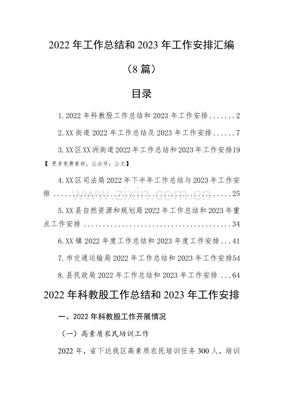 2022年工作总结和2023年工作安排汇编(8篇).docx_第1页