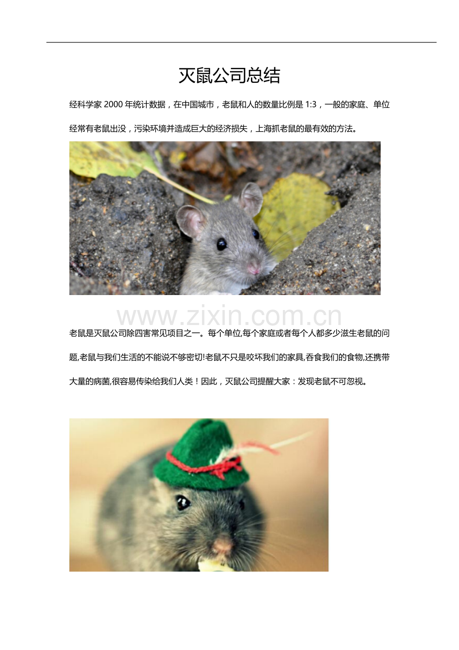 灭鼠公司总结.docx_第1页