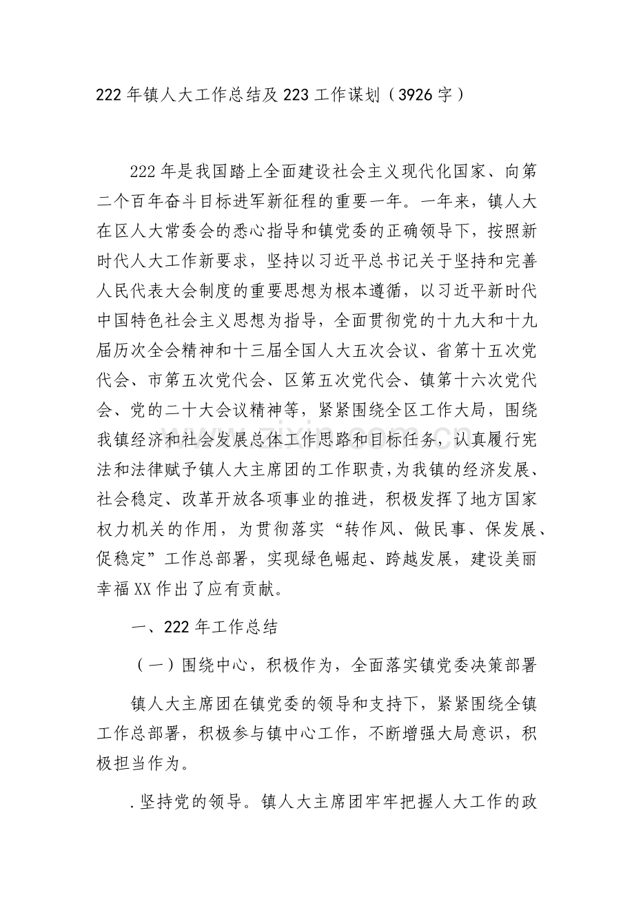 2022年镇人大工作总结及2023工作谋划.docx_第1页