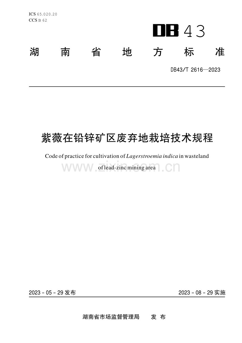 DB43∕T 2616-2023 紫薇在铅锌矿区废弃地栽培技术规程(湖南省).pdf_第1页