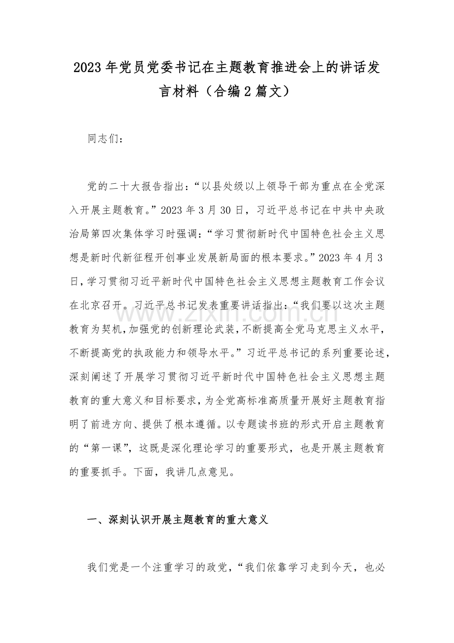 2023年党员党委书记在主题教育推进会上的讲话发言材料（合编2篇文）.docx_第1页