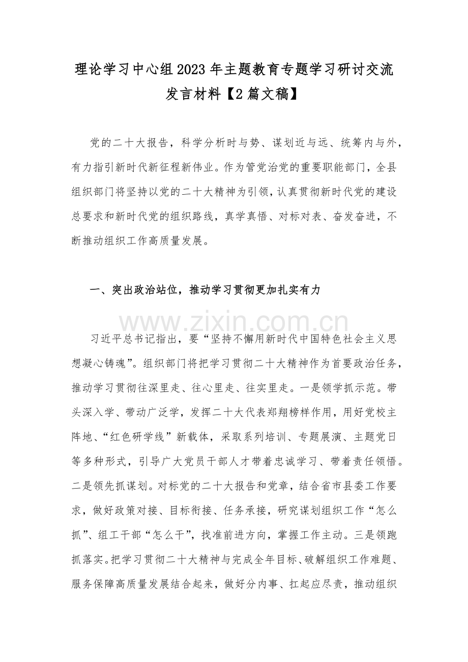 理论学习中心组2023年主题教育专题学习研讨交流发言材料【2篇文稿】.docx_第1页