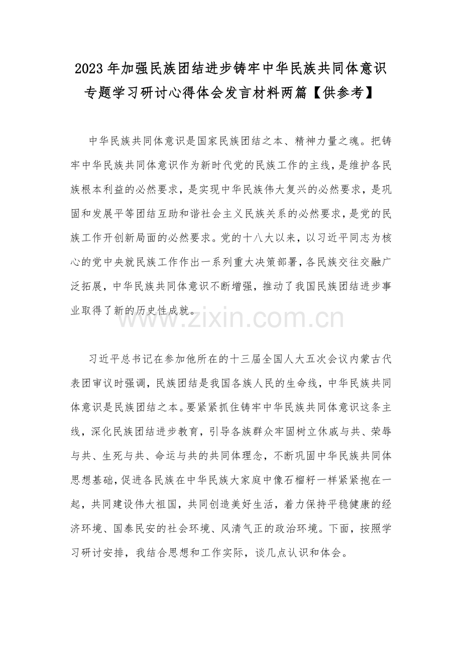 2023年加强民族团结进步铸牢中华民族共同体意识专题学习研讨心得体会发言材料两篇【供参考】.docx_第1页