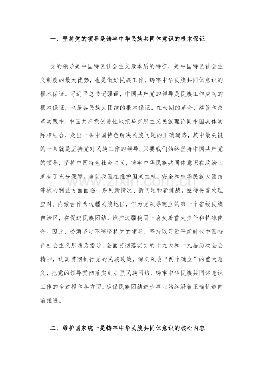 2023年加强民族团结进步铸牢中华民族共同体意识专题学习研讨心得体会发言材料两篇【供参考】.docx_第2页