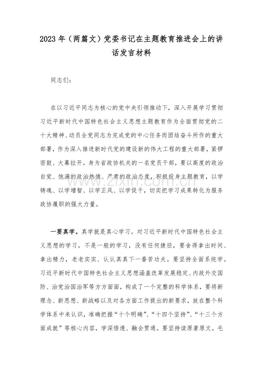 2023年（两篇文）党委书记在主题教育推进会上的讲话发言材料.docx_第1页