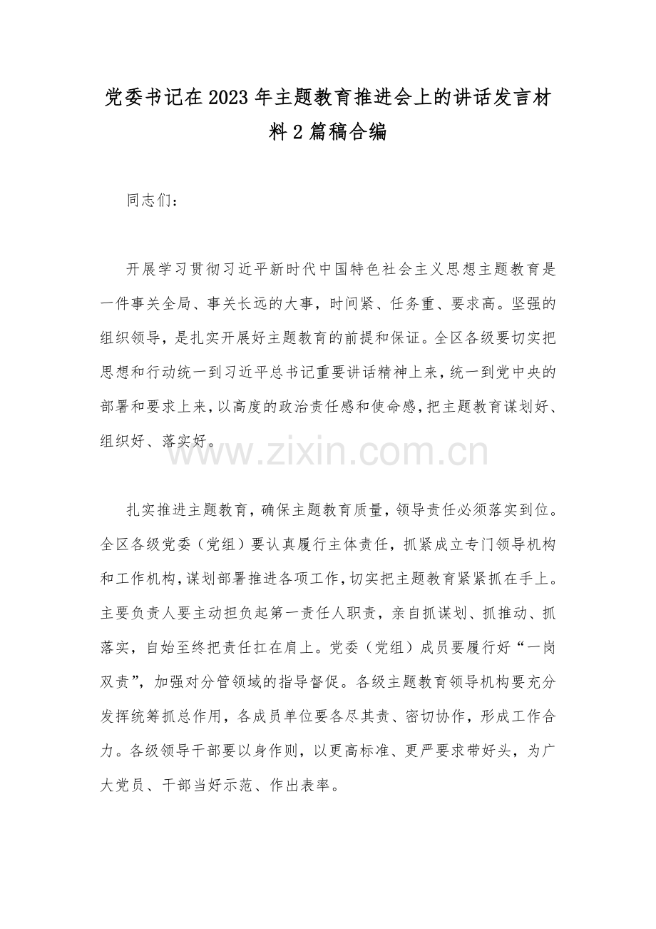 党委书记在2023年主题教育推进会上的讲话发言材料2篇稿合编.docx_第1页