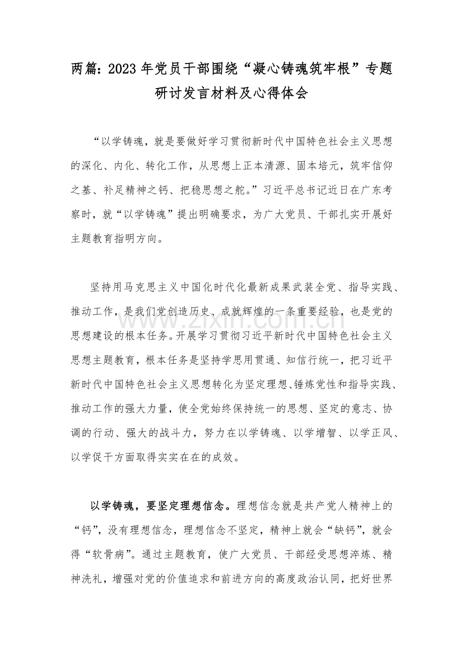 两篇：2023年党员干部围绕“凝心铸魂筑牢根”专题研讨发言材料及心得体会.docx_第1页