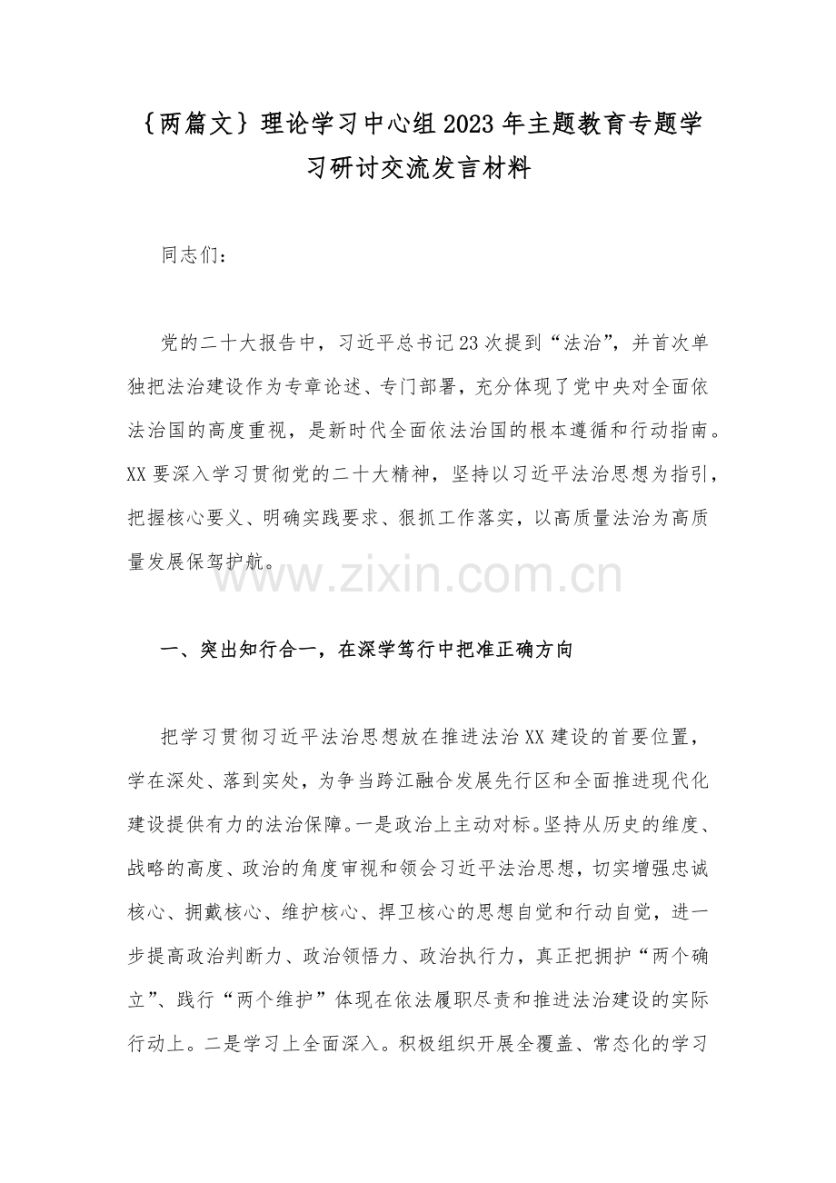 ｛两篇文｝理论学习中心组2023年主题教育专题学习研讨交流发言材料.docx_第1页