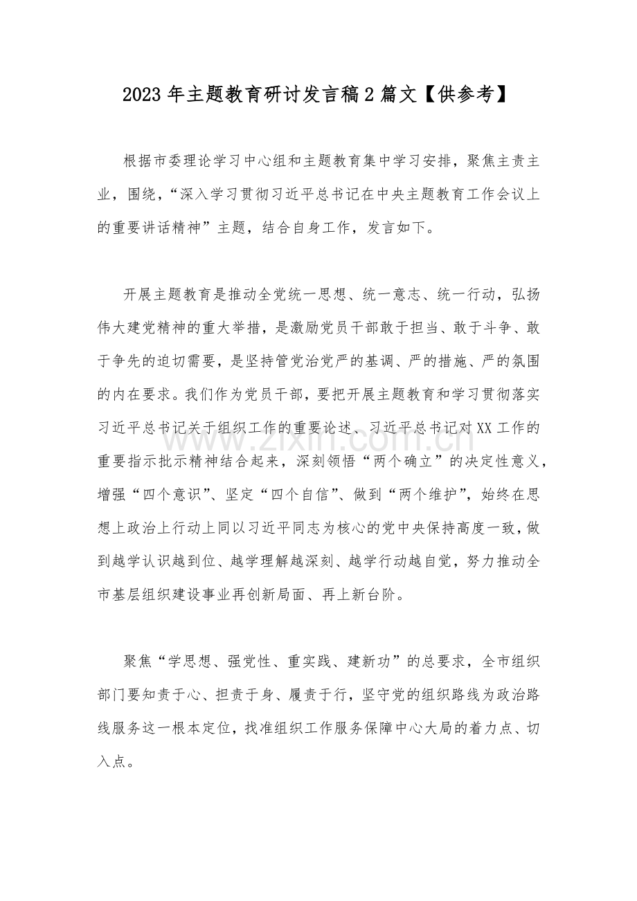 2023年主题教育研讨发言稿2篇文【供参考】.docx_第1页
