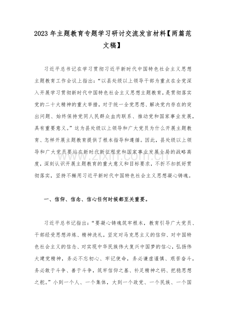 2023年主题教育专题学习研讨交流发言材料【两篇范文稿】.docx_第1页