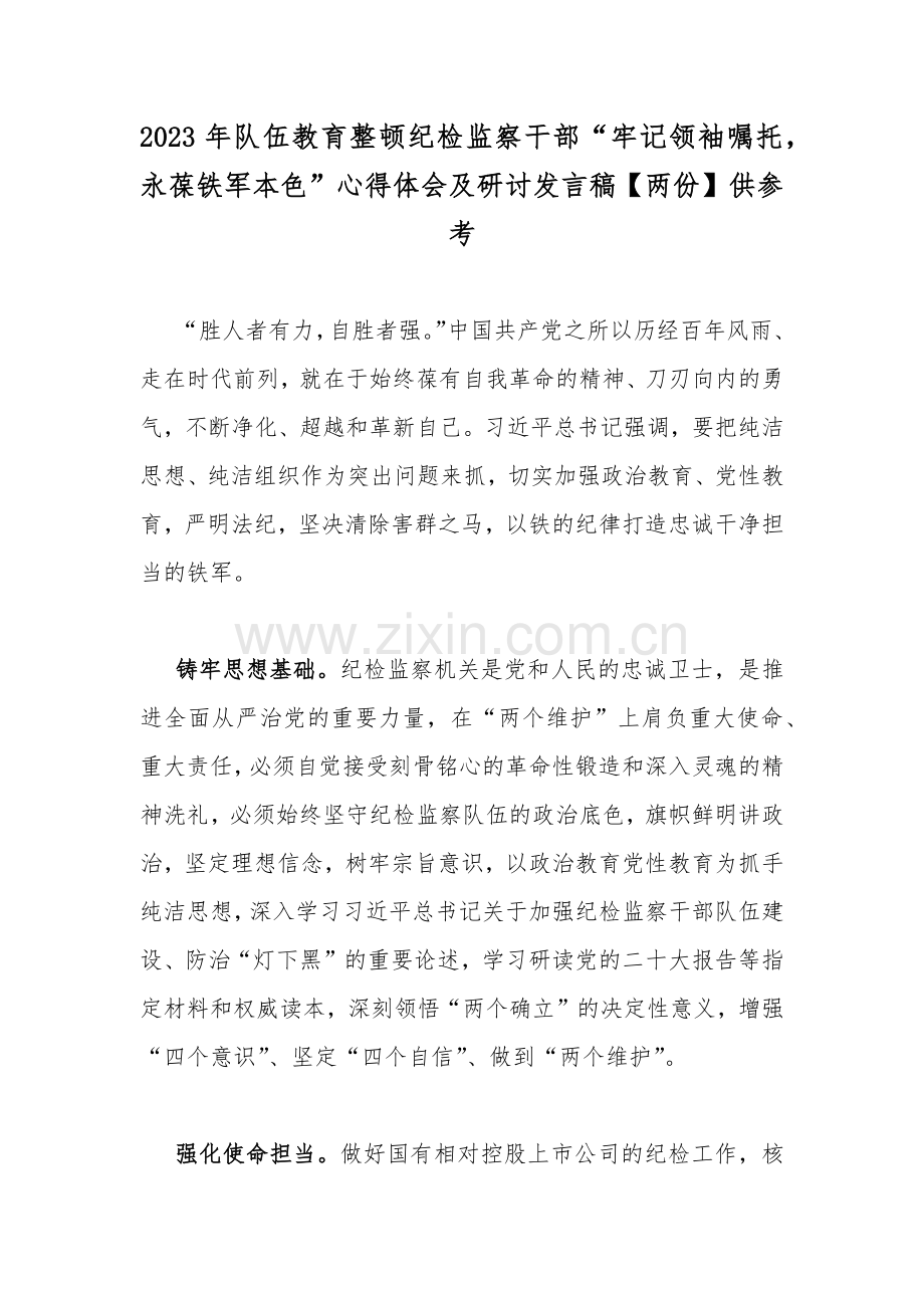 2023年队伍教育整顿纪检监察干部“牢记领袖嘱托永葆铁军本色”心得体会及研讨发言稿【两份】供参考.docx_第1页
