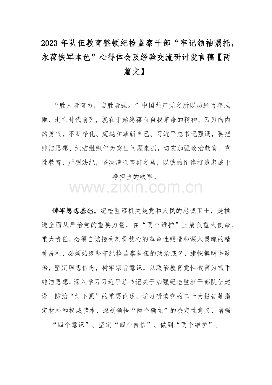 2023年队伍教育整顿纪检监察干部“牢记领袖嘱托永葆铁军本色”心得体会及经验交流研讨发言稿【两篇文】.docx_第1页