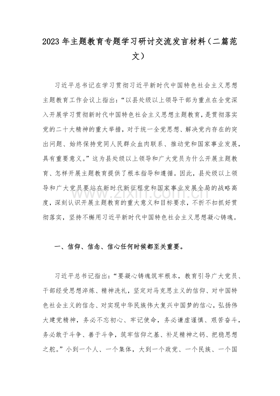 2023年主题教育专题学习研讨交流发言材料（二篇范文）.docx_第1页