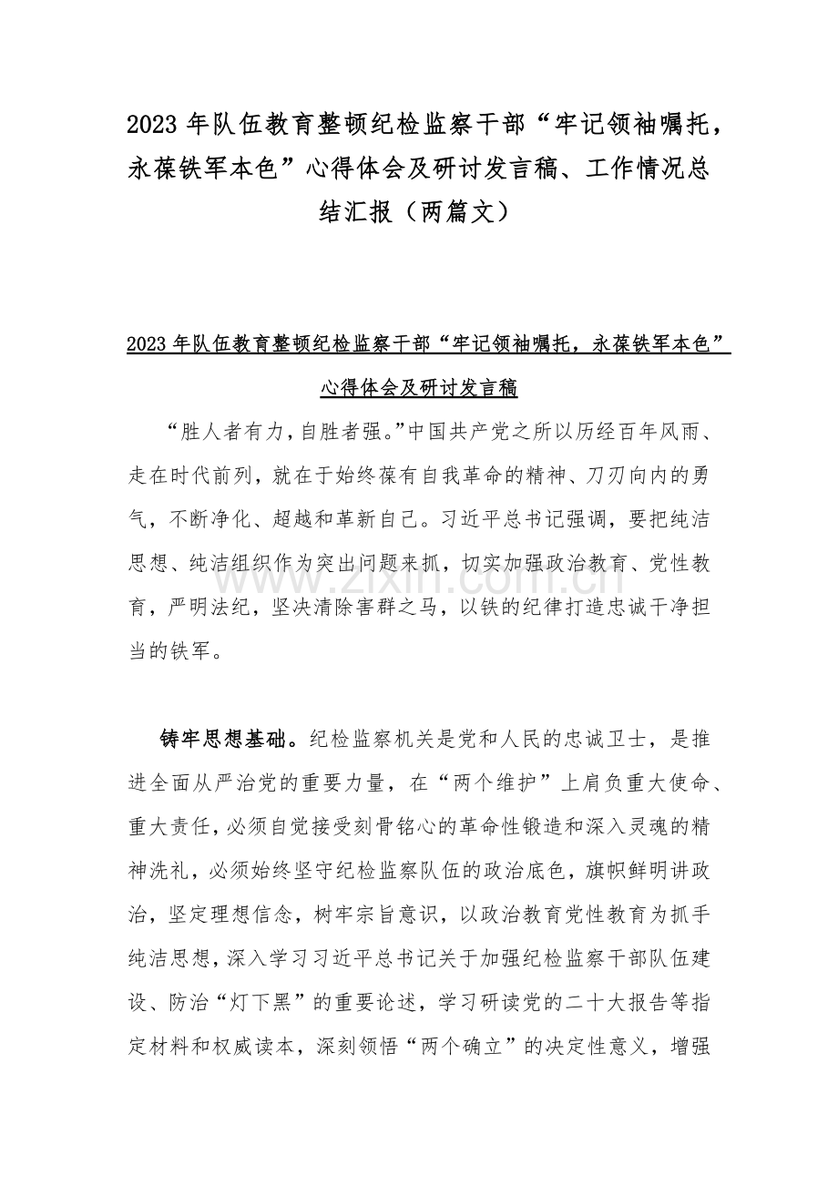2023年队伍教育整顿纪检监察干部“牢记领袖嘱托永葆铁军本色”心得体会及研讨发言稿、工作情况总结汇报（两篇文）.docx_第1页