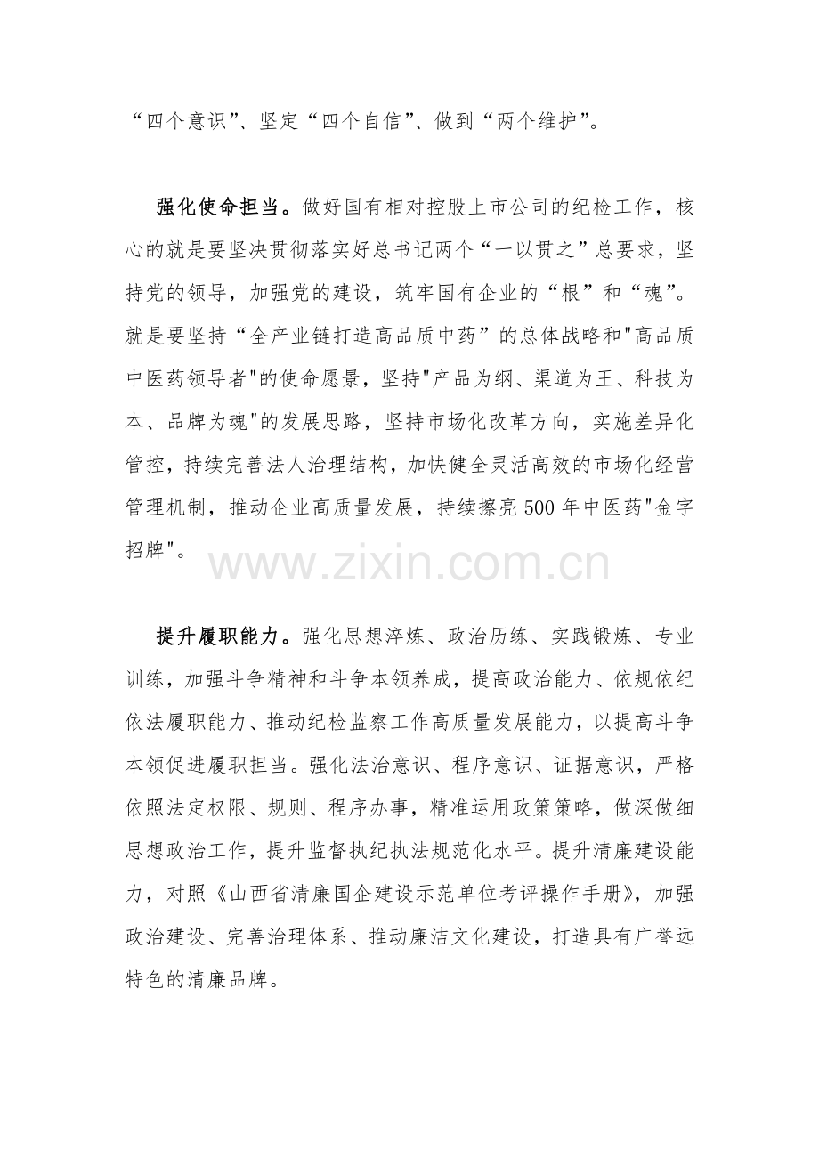 2023年队伍教育整顿纪检监察干部“牢记领袖嘱托永葆铁军本色”心得体会及研讨发言稿、工作情况总结汇报（两篇文）.docx_第2页