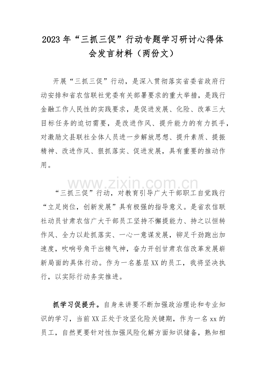 2023年“三抓三促”行动专题学习研讨心得体会发言材料（两份文）.docx_第1页