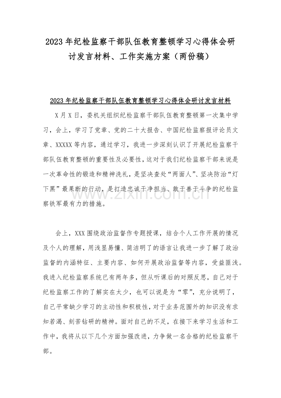 2023年纪检监察干部队伍教育整顿学习心得体会研讨发言材料、工作实施方案（两份稿）.docx_第1页