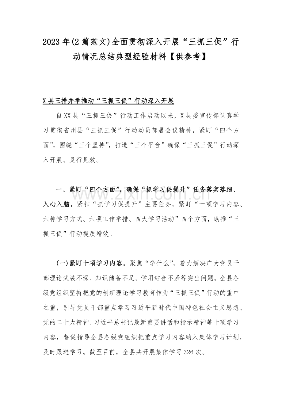 2023年(2篇范文)全面贯彻深入开展“三抓三促”行动情况总结典型经验材料【供参考】.docx_第1页