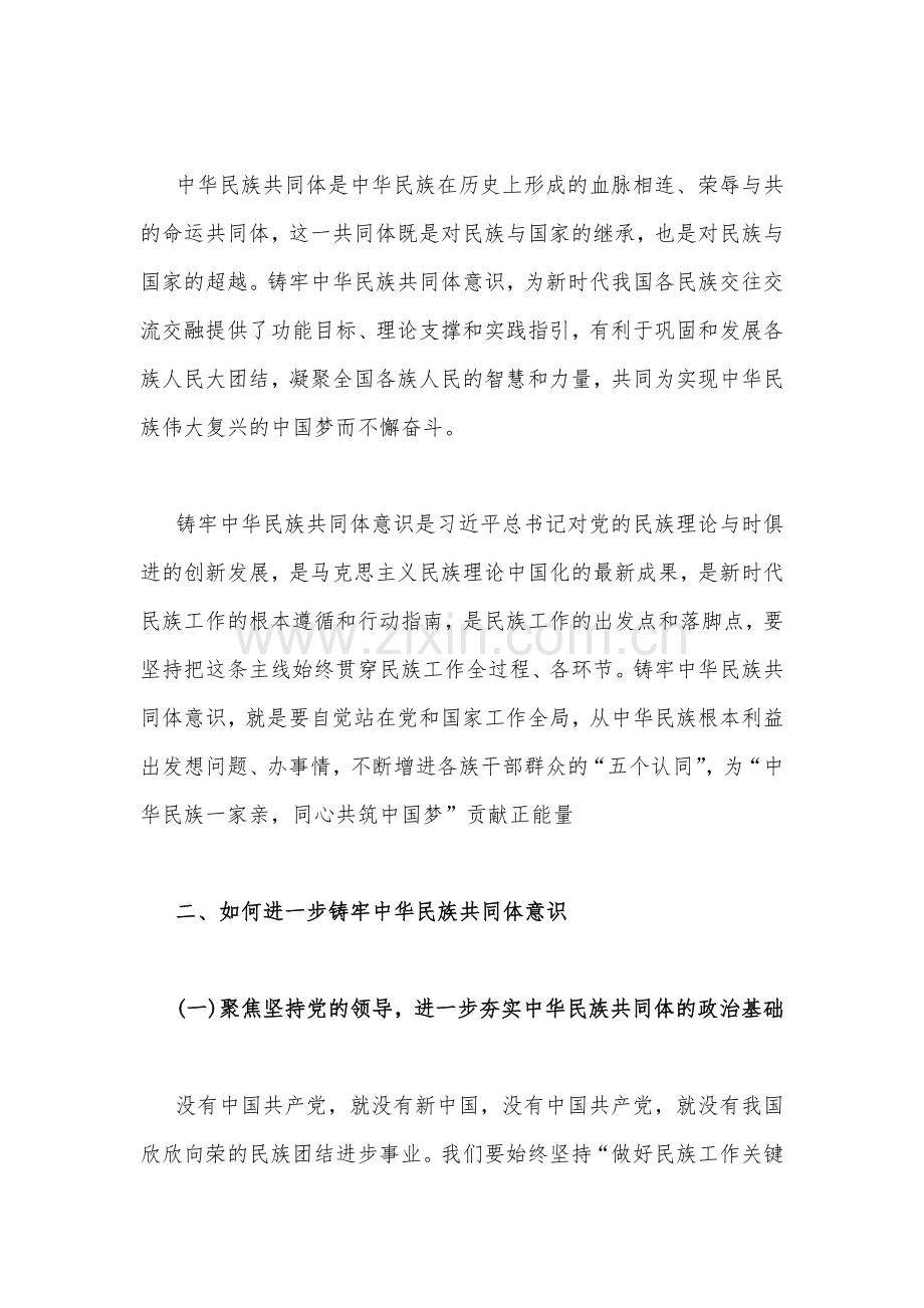 2023年全面加强民族团结进步铸牢中华民族共同体意识专题学习研讨心得体会发言材料二份【供参考】.docx_第2页