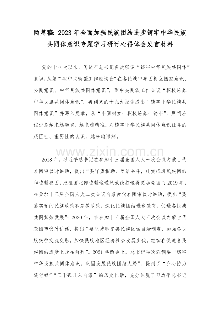 两篇稿：2023年全面加强民族团结进步铸牢中华民族共同体意识专题学习研讨心得体会发言材料.docx_第1页