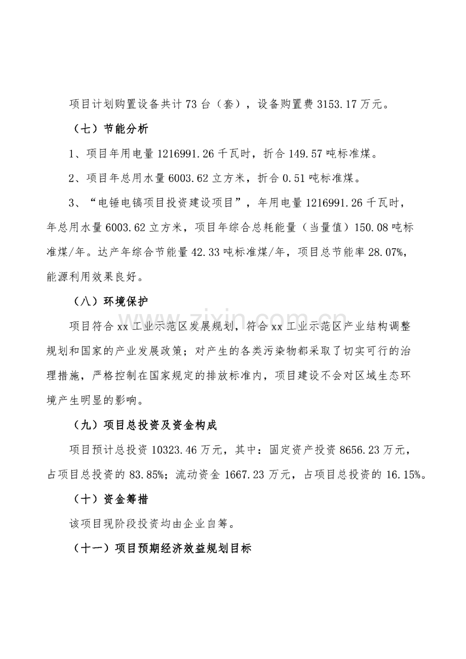 电锤电镐项目投资简介.pdf_第2页