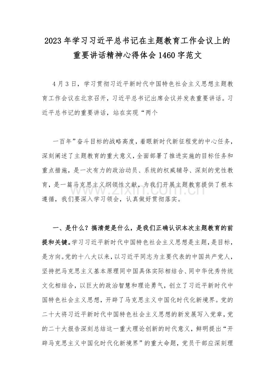2023年学习习近平总书记在主题教育工作会议上的重要讲话精神心得体会1460字范文.docx_第1页