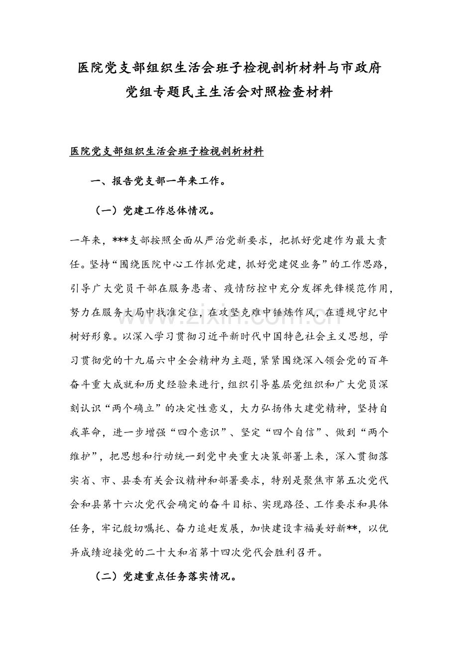 医院党支部组织生活会班子检视剖析材料与市政府党组专题组织生活会对照检查材料.docx_第1页