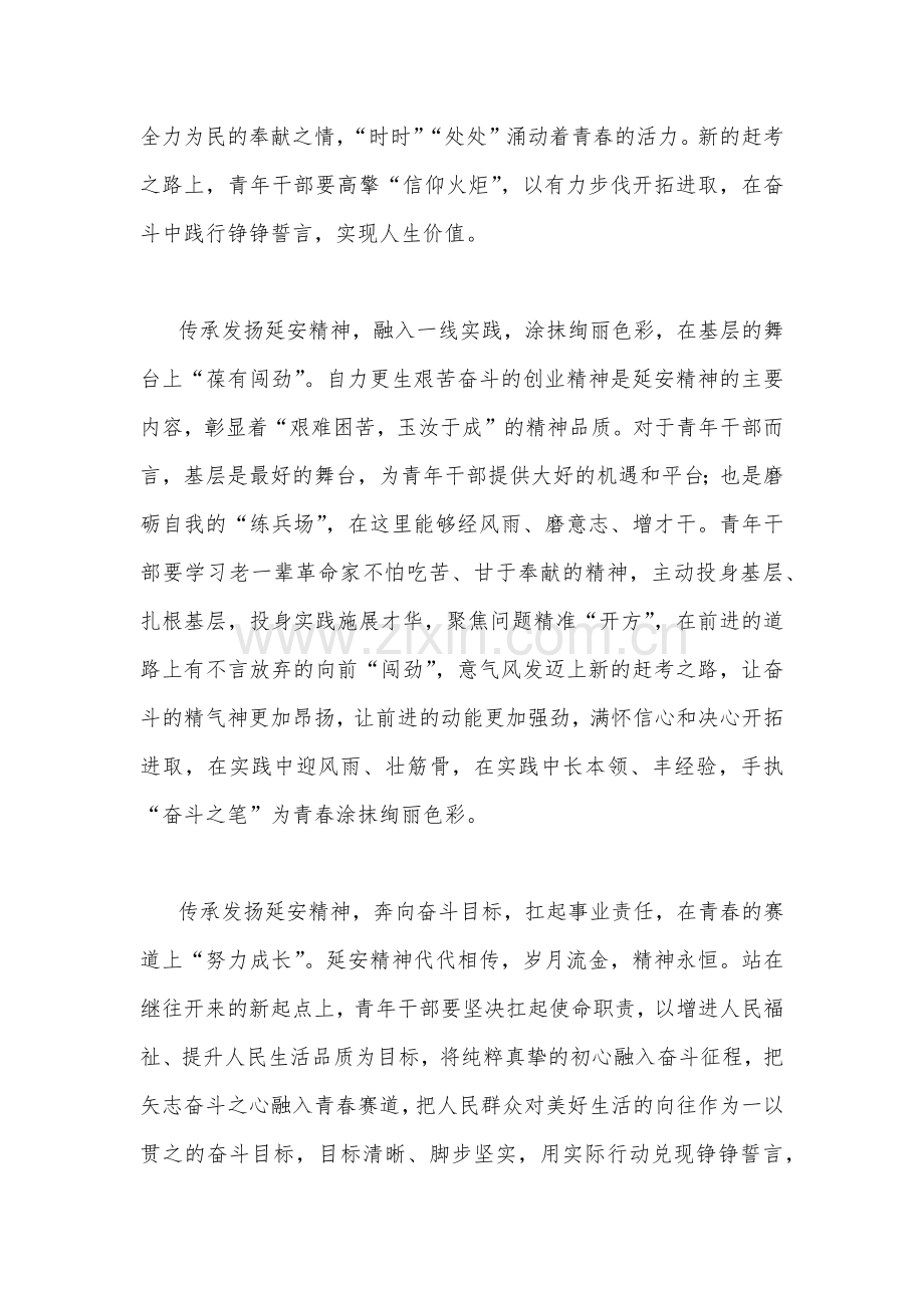 青年干部学习瞻仰延安革命纪念地重要讲话心得体会范文2份合编.docx_第2页