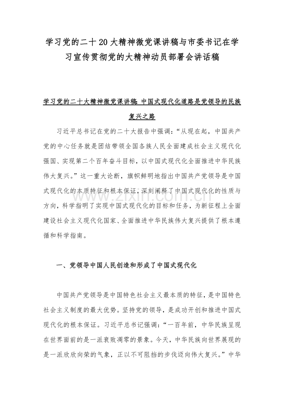 学习党的二十20大精神微党课讲稿与市委书记在学习宣传贯彻党的大精神动员部署会讲话稿.docx_第1页