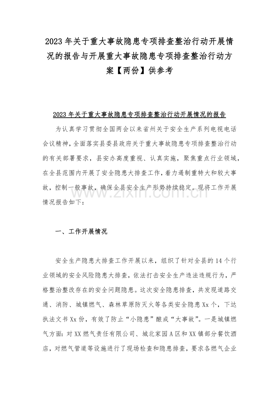 2023年关于重大事故隐患专项排查整治行动开展情况的报告与开展重大事故隐患专项排查整治行动方案【两份】供参考.docx_第1页