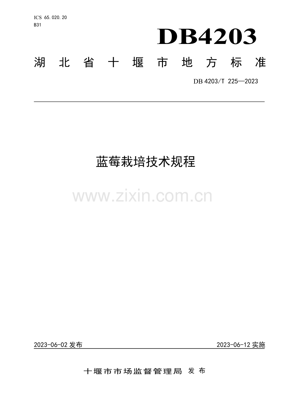 DB4203∕T 225-2023 蓝莓栽培技术规程(十堰市).pdf_第1页