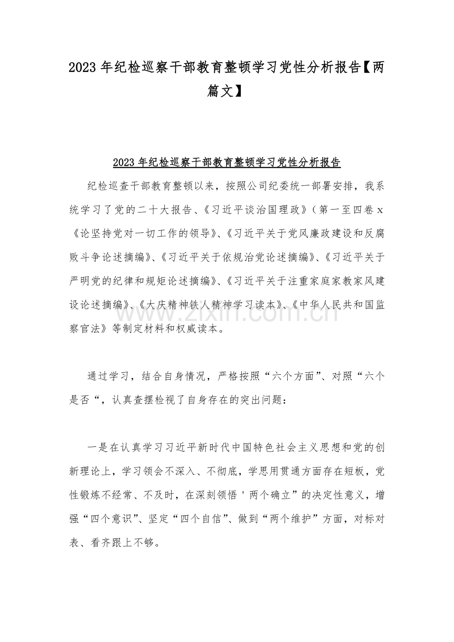 2023年纪检巡察干部教育整顿学习党性分析报告【两篇文】.docx_第1页