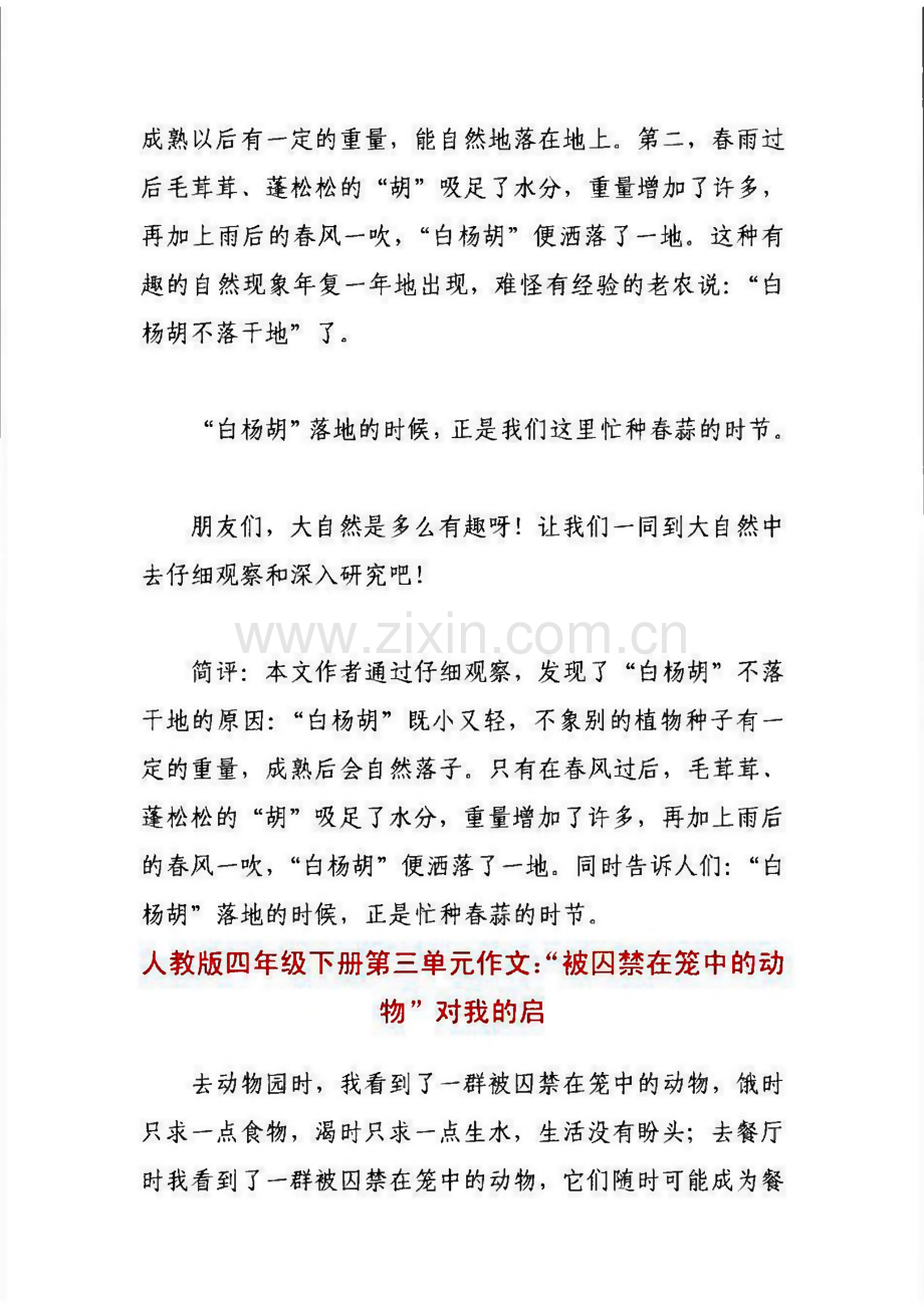 人教版四年级语文下册第三单元同步作文精选全集.pdf_第2页