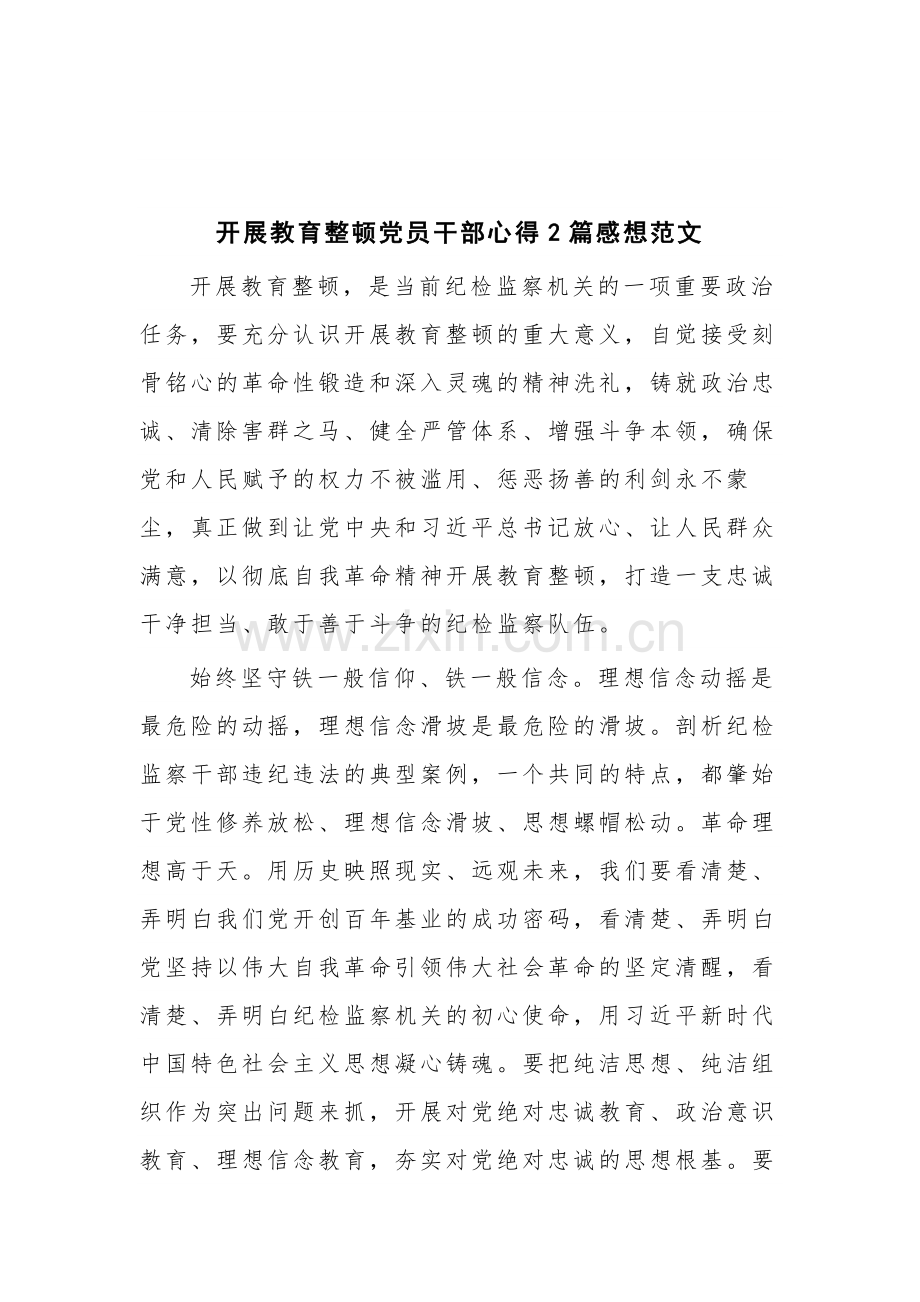 开展教育整顿党员干部心得2篇感想范文.docx_第1页