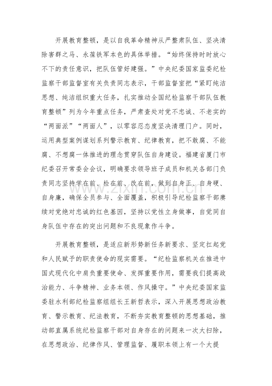 纪检监察干部队伍教育整顿检视材料集合篇范文.docx_第2页