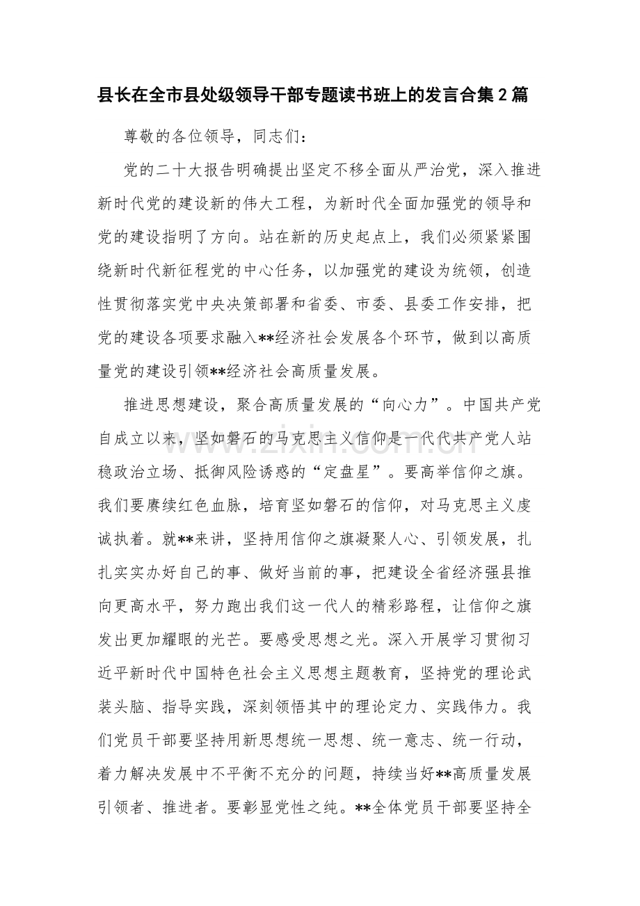 县长在全市县处级领导干部专题读书班上的发言合集2篇.docx_第1页