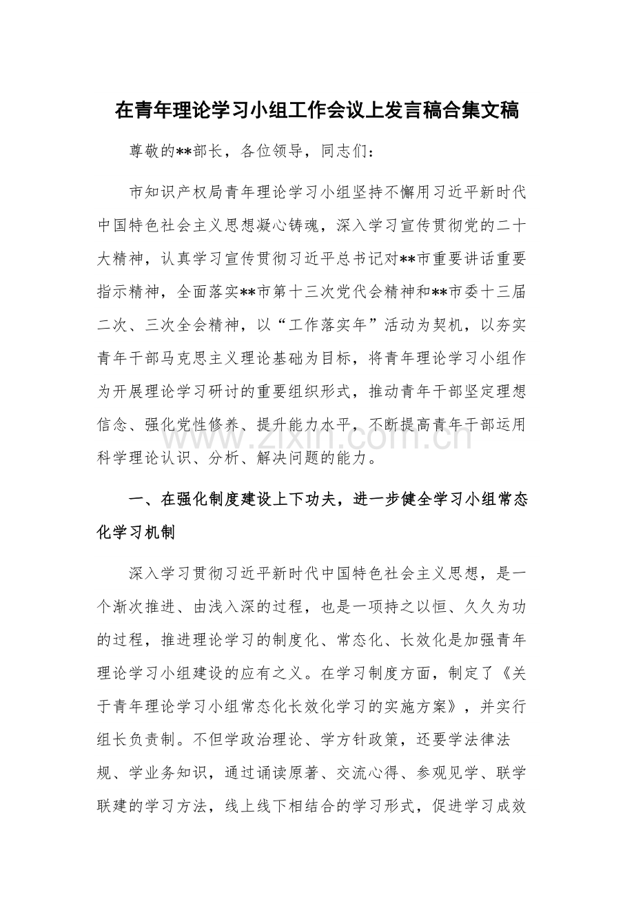 在青年理论学习小组工作会议上发言稿合集文稿.docx_第1页