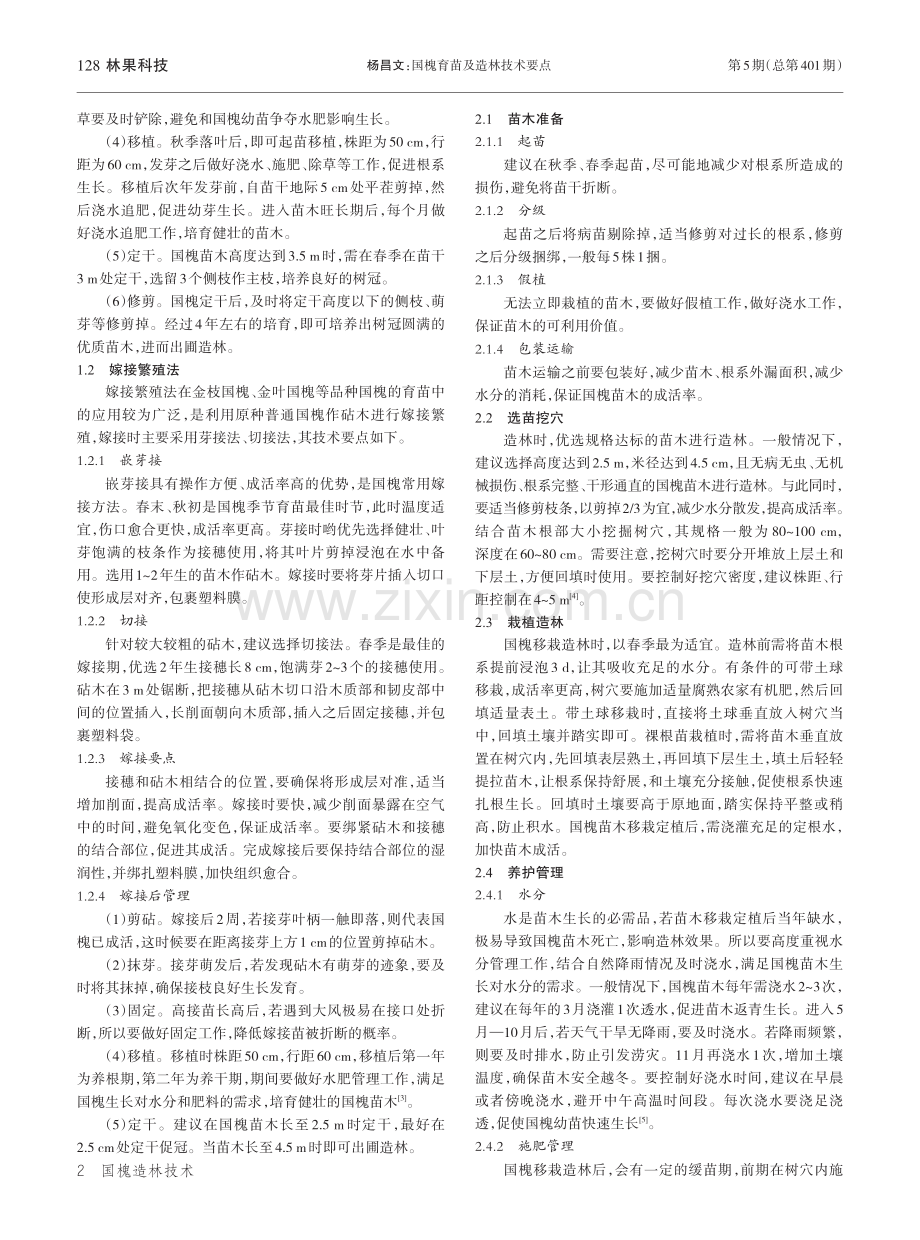 国槐育苗及造林技术要点_杨昌文.pdf_第2页