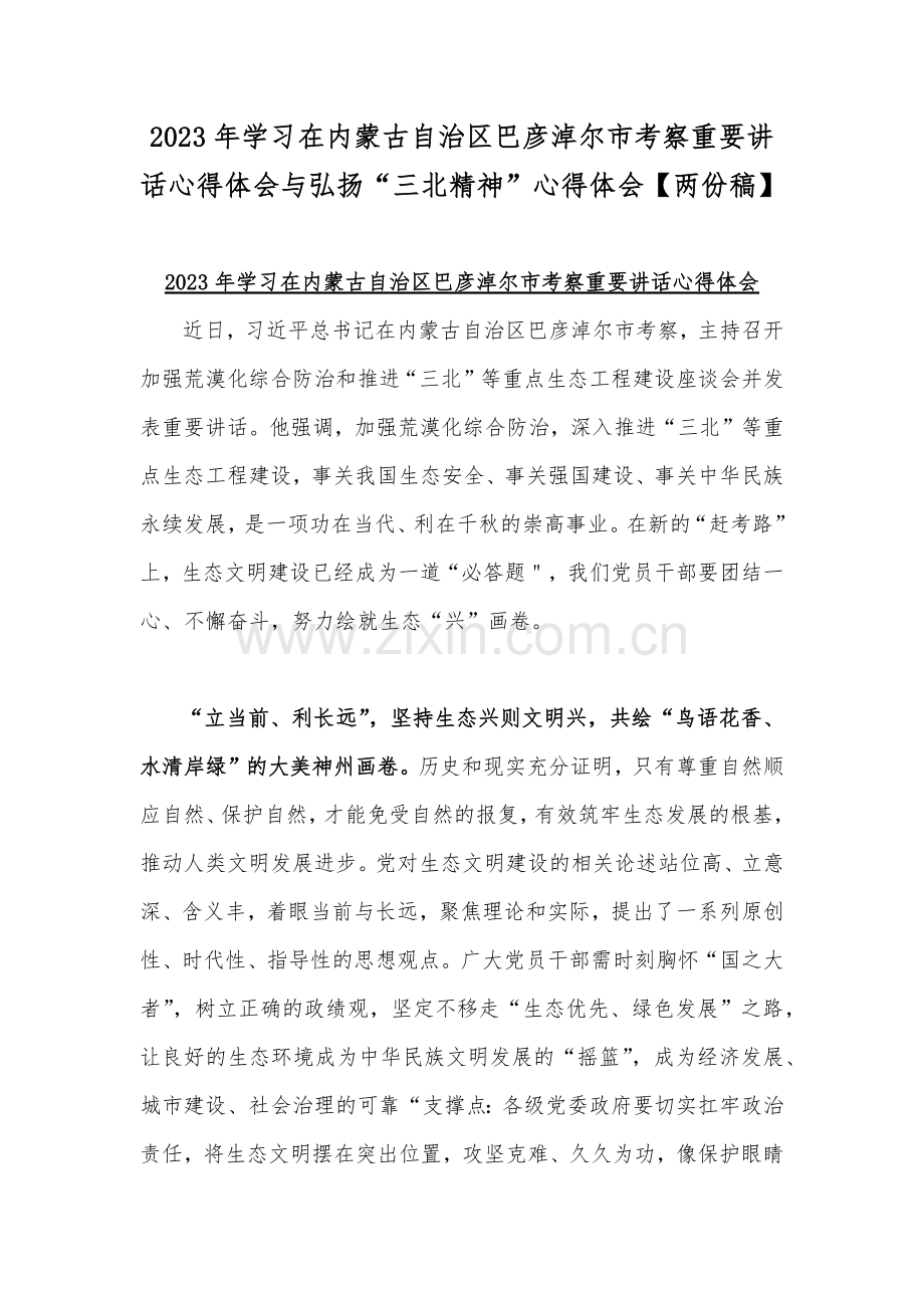 2023年学习在内蒙古自治区巴彦淖尔市考察重要讲话心得体会与弘扬“三北精神”心得体会【两份稿】.docx_第1页