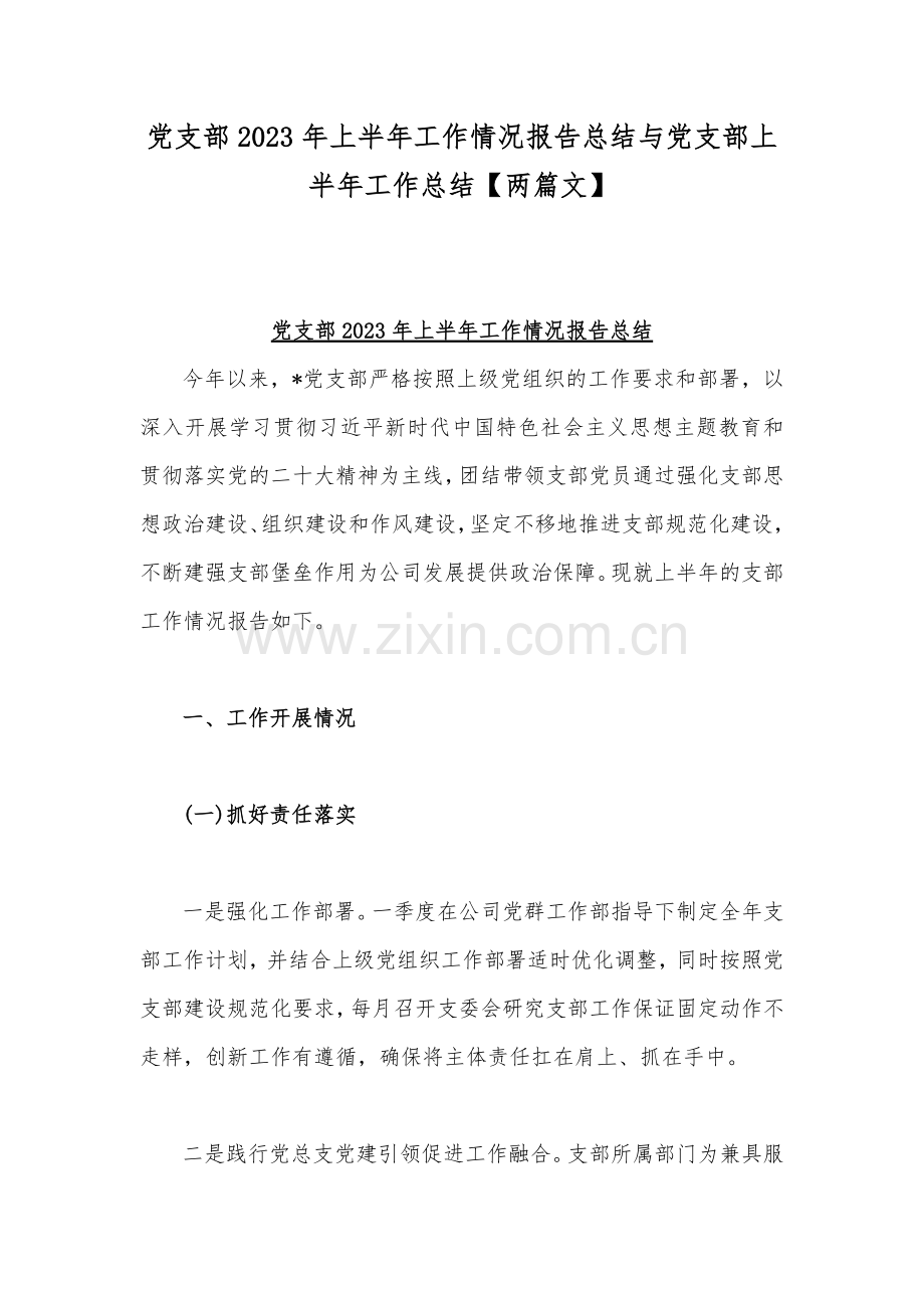 党支部2023年上半年工作情况报告总结与党支部上半年工作总结【两篇文】.docx_第1页